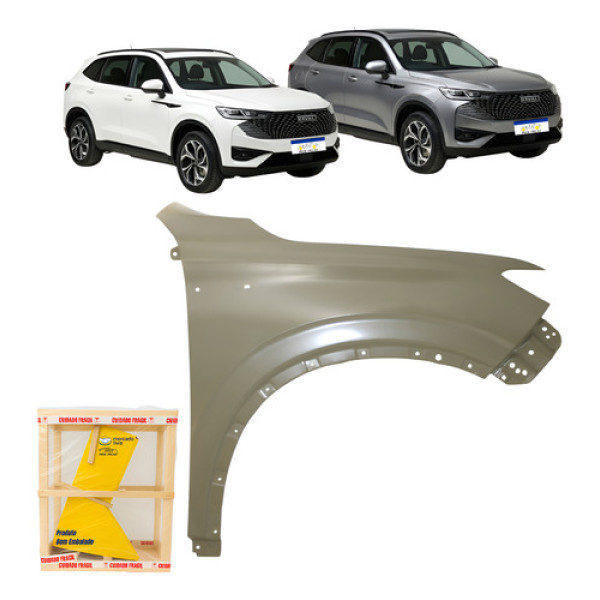 Paralama Haval H6 2023 2024 2025 2026 Novo Cinza Direito