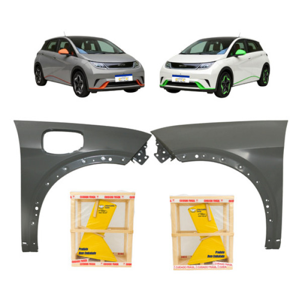 Par Paralama Byd Dolphin 2023 2024 2025 2026 Novo