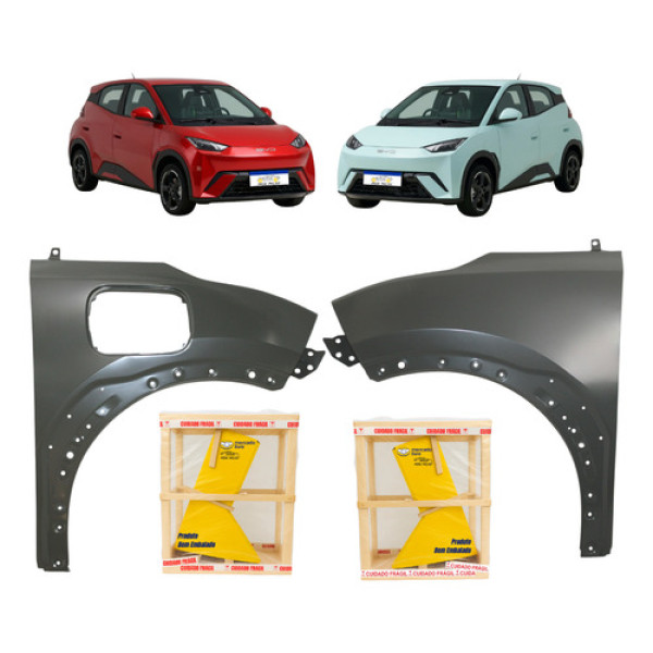 Par Paralama Byd Dolphin Mini 2024 2025 2026 Novo