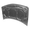 Capo Renault Megane 2006 2007 2008 Somente Versão Gasolina
