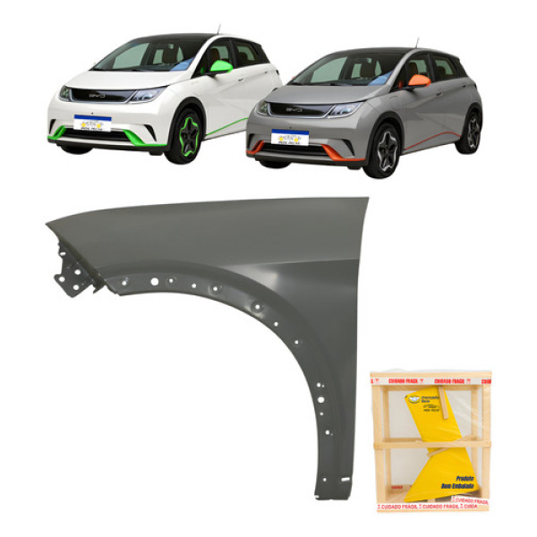 Paralama Byd Dolphin 2023 2024 2025 2026 Novo Esquerdo