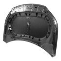 Capo Volkswagen Tiguan 2009 2010 2011 2012 A 2017 Novo
