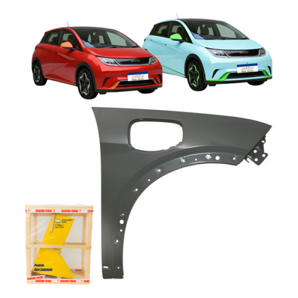 Paralama Byd Dolphin 2023 2024 2025 2026 Novo L.d