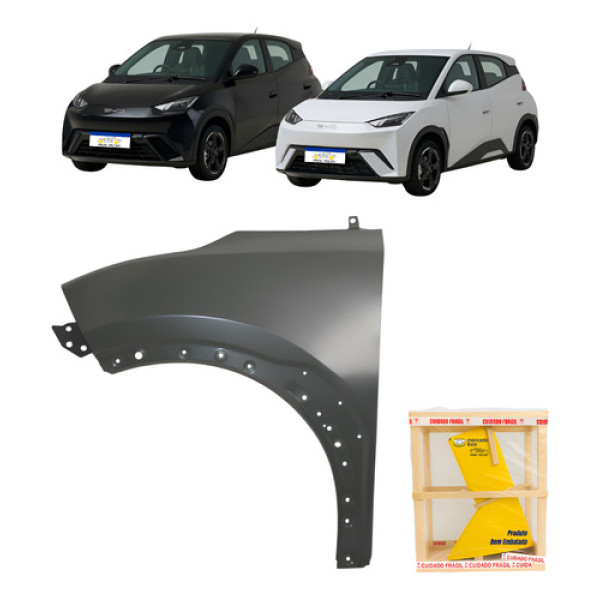 Paralama Byd Dolphin Mini 2024 2025 2026 L.e