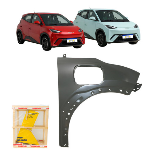 Paralama Byd Dolphin Mini 2024 2025 2026 L.d