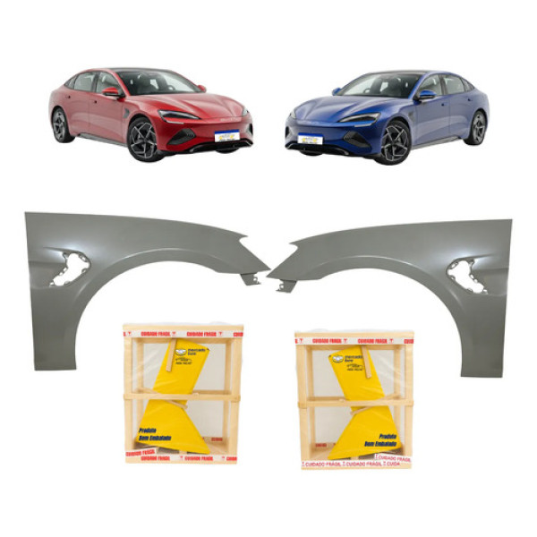 Par Paralama Byd Seal Gs 2023 2024 2025 Novo