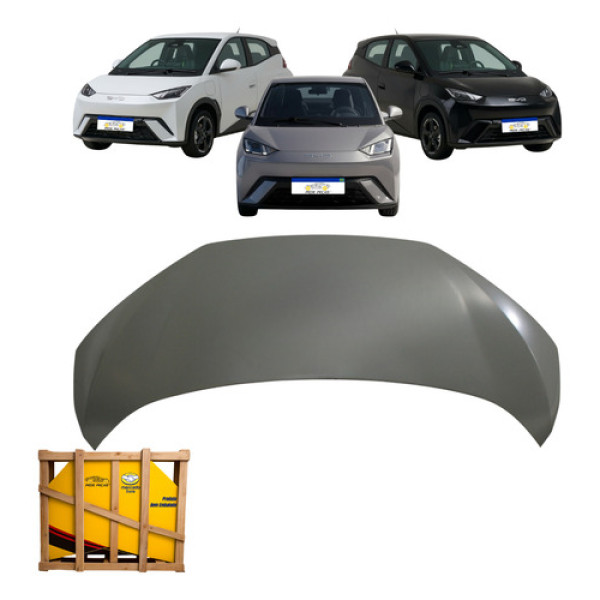 Capu Byd Dolphin Mini 2024 2025 2026 Gs Ev Novo