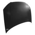 Capo Audi A3 Sportaback 2009 2010 2011 2012