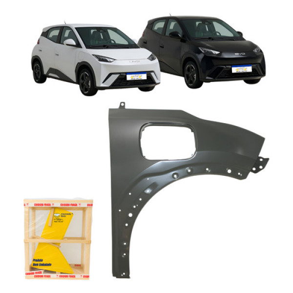 Paralama Byd Dolphin Mini 2024 2025 2026 Direito