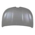 Capo Renault Kardian 2024 2025 2026 2027 Novo