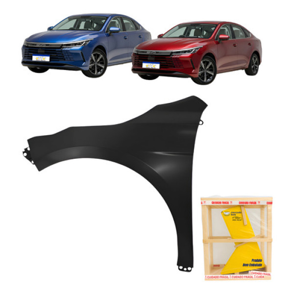 Paralama Byd King 2024 2025 2026 Esquerdo