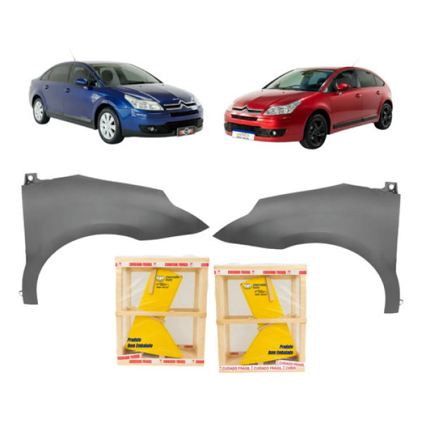 Par Paralama C4 Pallas Exclusive 2007 2012 A 2014 Novo