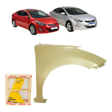 Paralama Direito Ela...