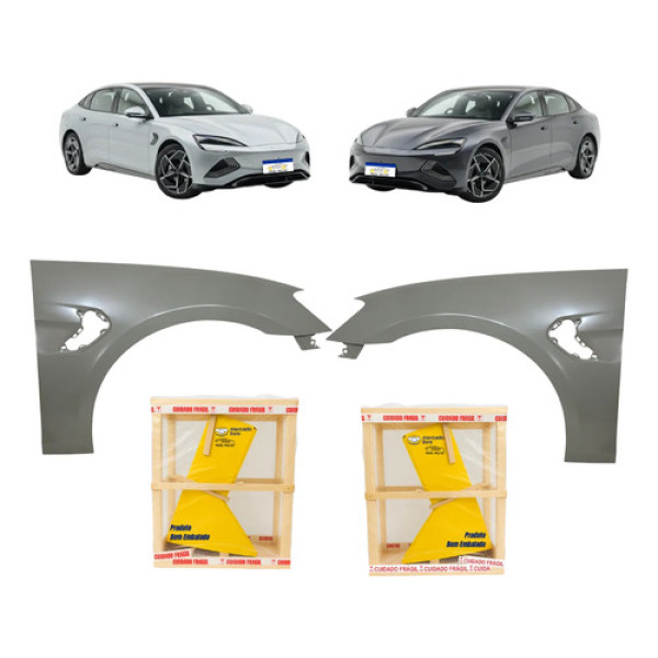 Par Paralama Byd Seal Gs 2025 2024 2023 Novo