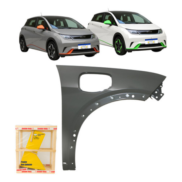 Paralama Byd Dolphin 2023 2024 2025 2026 Novo Direito