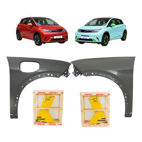 Par Paralama Byd Dolphin 2023 2024 2025 2026 Cinza