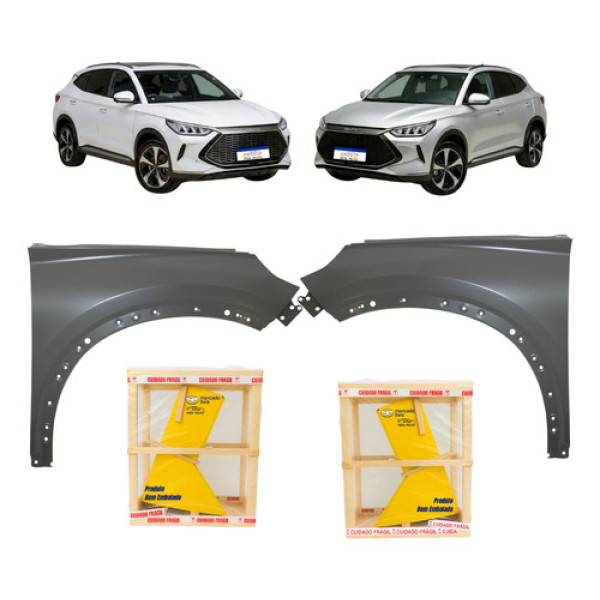 Par Paralama Byd Song Plus 2023 2024 2025 Novo