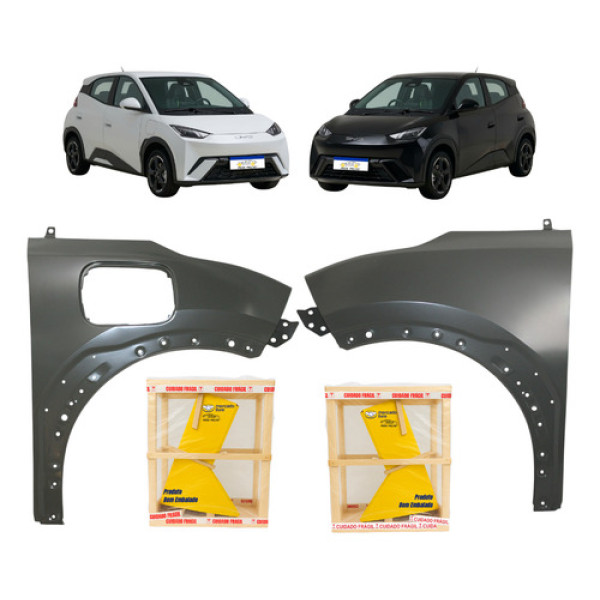 Par Paralama Byd Dolphin Mini 2024 2025 2026 Cinza