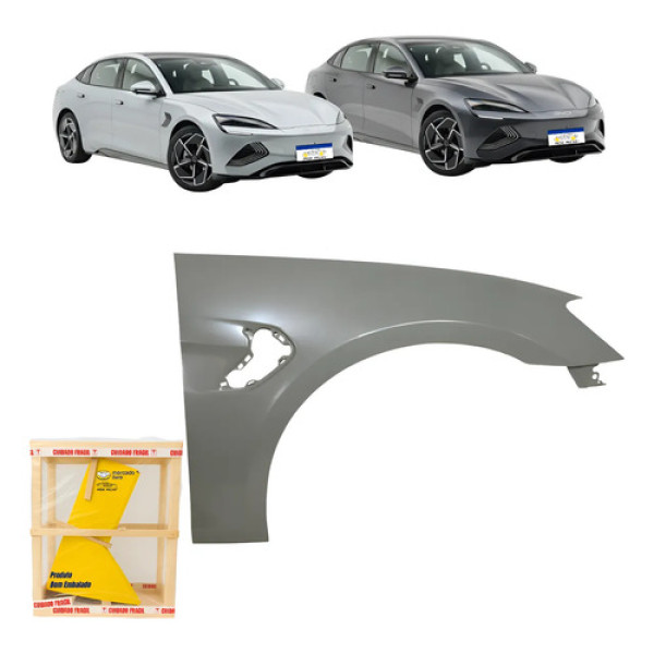 Paralama Byd Seal Gs 2023 2024 2025 L.d Novo